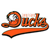 Long Island Ducks